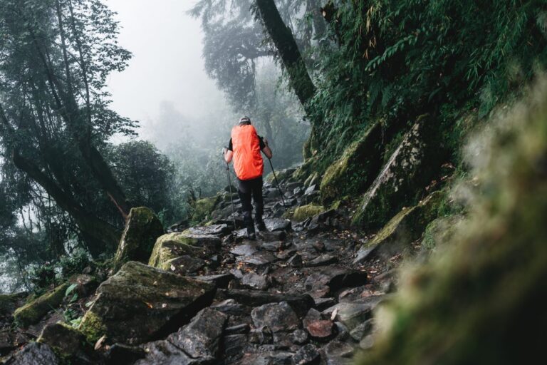 Best Solo Hiking Options: The 2026 Authority Reference